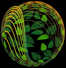 九游官网入口-未来青训：生态系统构建助推足球强国梦，足球生态系统建设